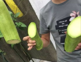 吃瓜网砍一刀,揭秘网络舆论背后的真相